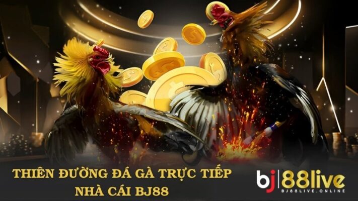 BJ88 mang đến 200 trận đá gà trực tiếp mỗi tuần cho người chơi