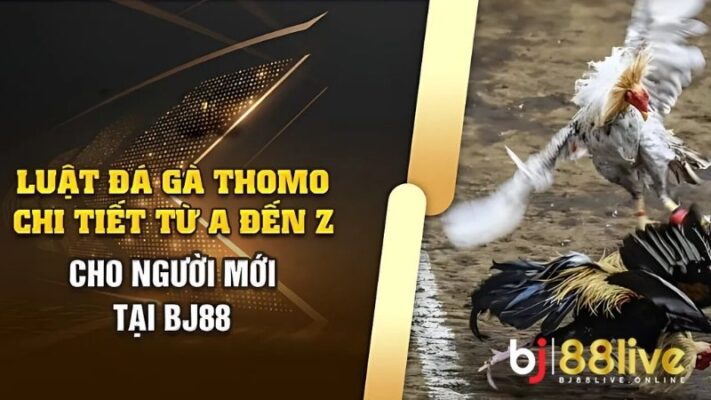 Luật chơi đá gà thomo