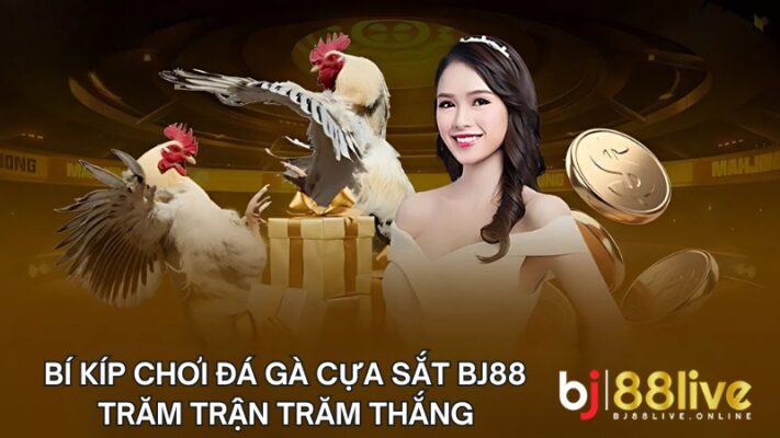 Thủ thuật chơi đá gà cựa sắt bất bại không phải ai cũng biết